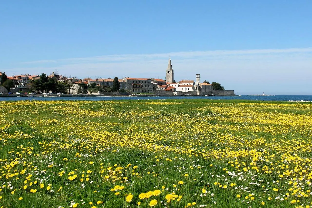 Villa Vita In Porec - Haus Fuer 6-8 Personen Kastelir